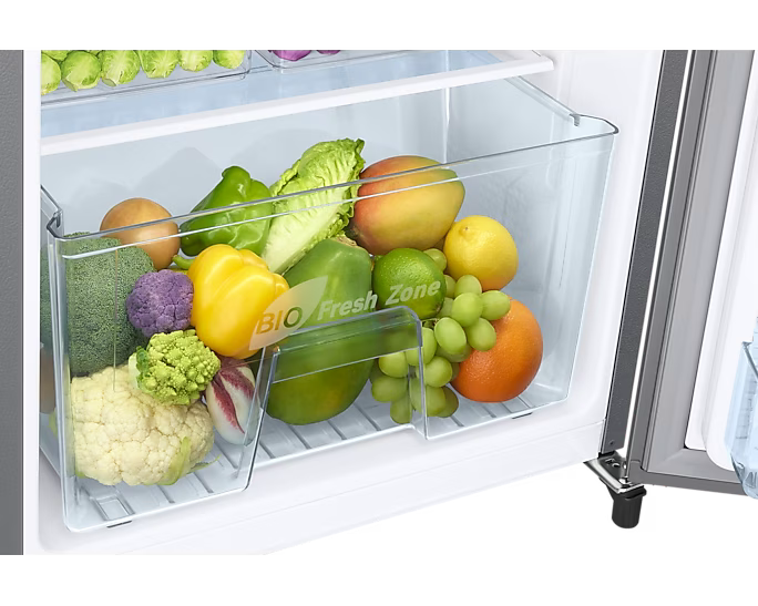 183L Single Door Refrigerator RR20C10C2GS